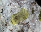Apatite Crystals In Matrix - Durango, Mexico #43377-2